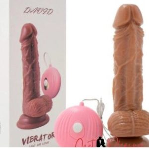 6 inches realistic soft and flexible vibrating penis dildo with suction cup 10 vibration modes